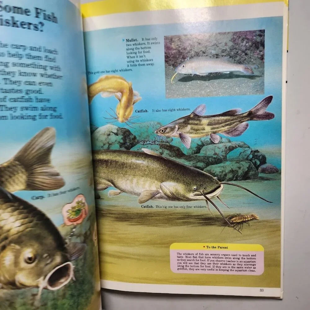 Life in the Water Child's First Library of Learning Science Stem Book Homeschool